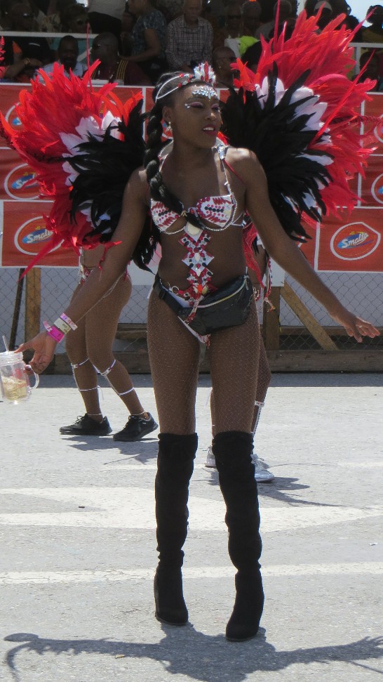 Bacchanalian Delights Of Carnival Trinidad Insideot